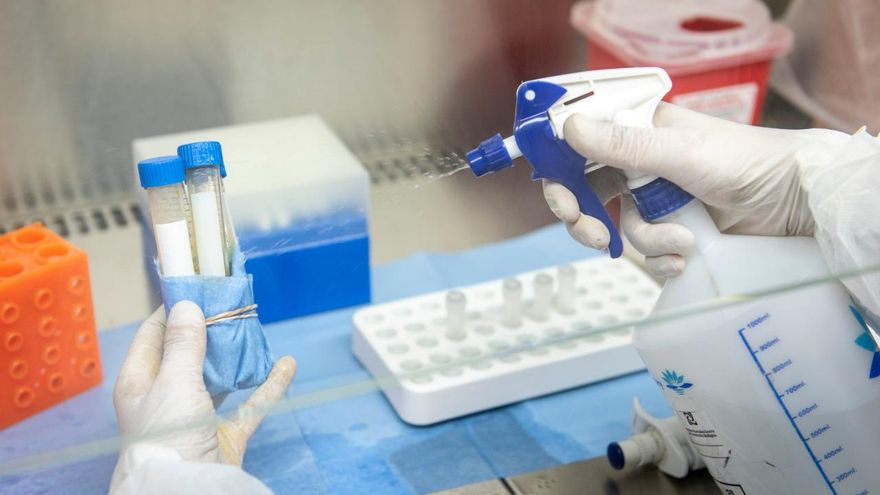 Coronavirus en Argentina: reportan otros 19 muertos y 1.518 nuevos contagios