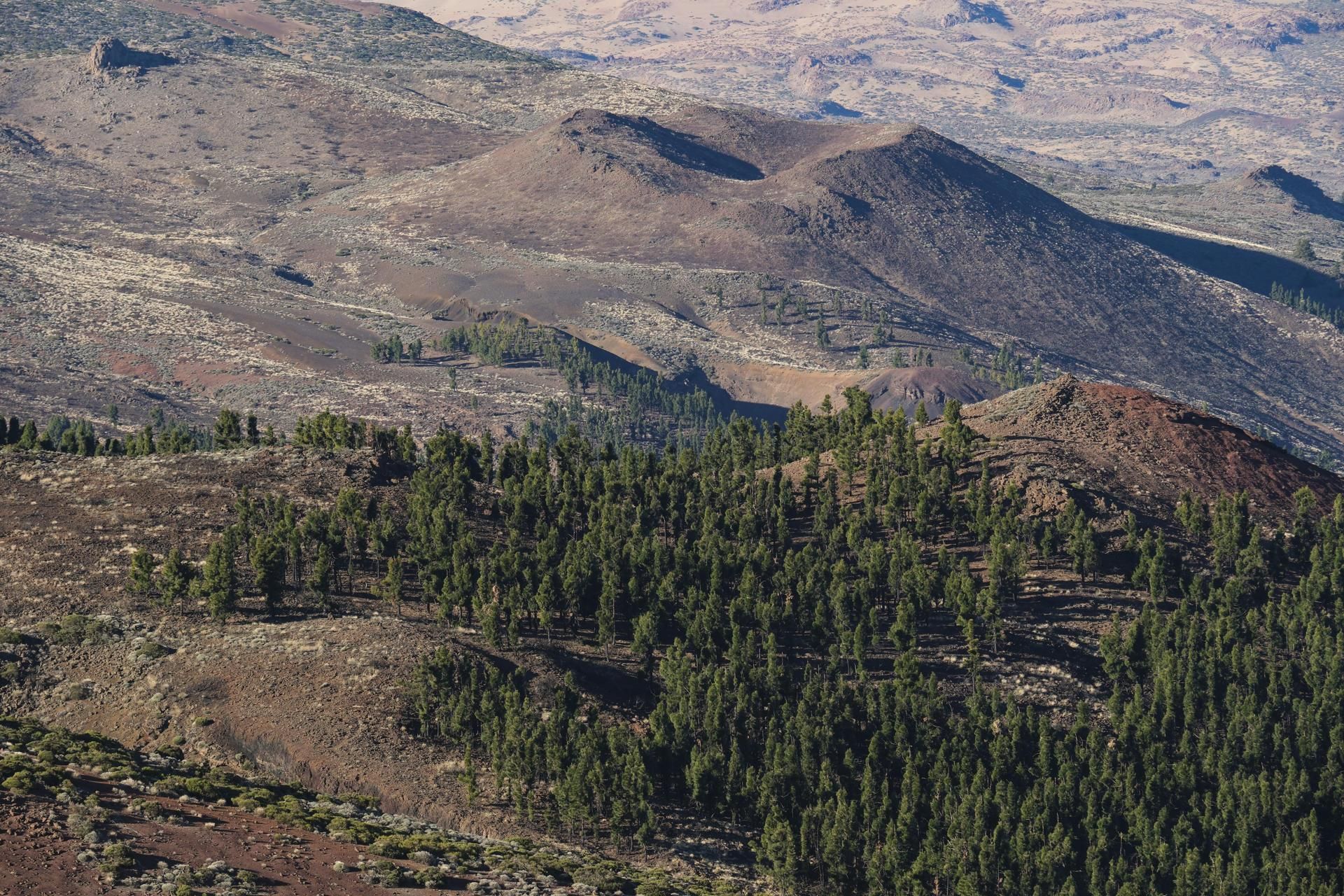 Paisaje volcánico en el Parque Nacional de Las Cañadas del Teide.