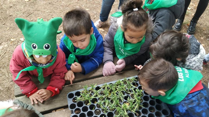 Talleres de educación ambiental
