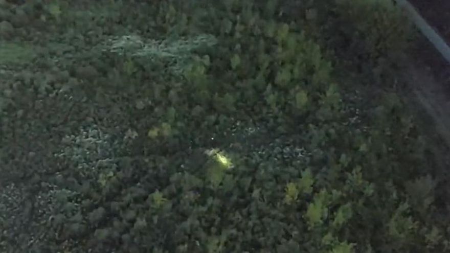 Más de mil policías, helicópteros y perros adiestrados participan de la búsqueda de Maia