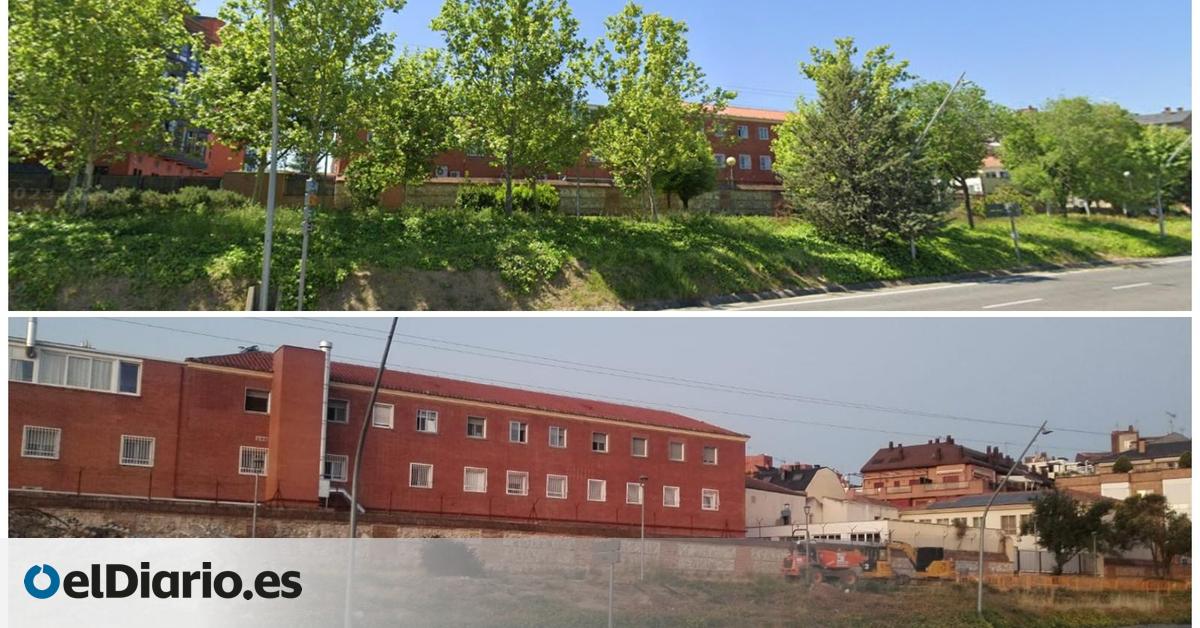Talas en el recinto protegido de la Casa de Campo autorizadas por el Ayuntamiento de Madrid