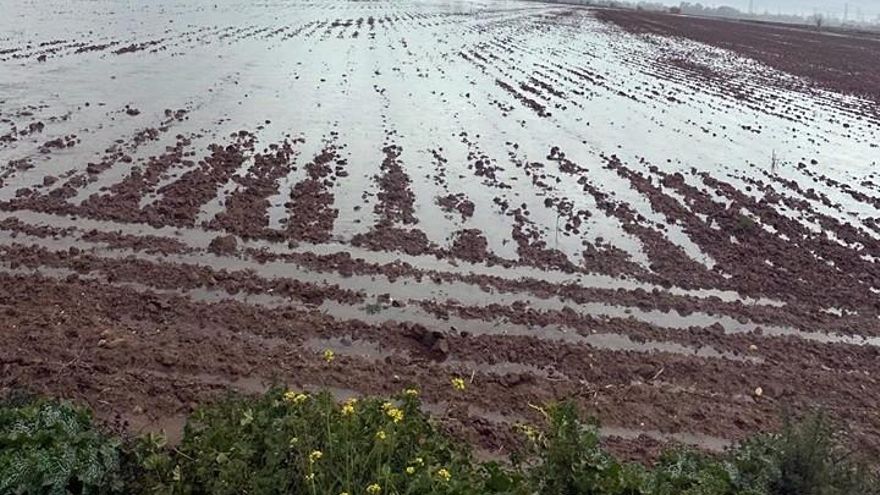 Daños en los cultivos de Mocejón.