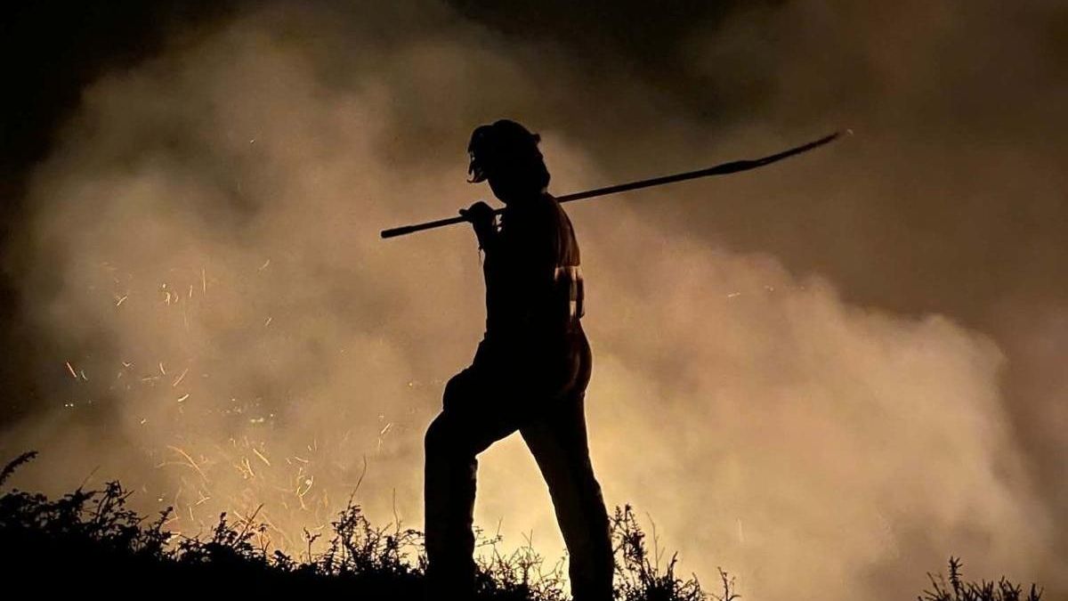 En cuanto asoman el calor y el viento llegan los incendios para pastos: "El efecto es devastador"