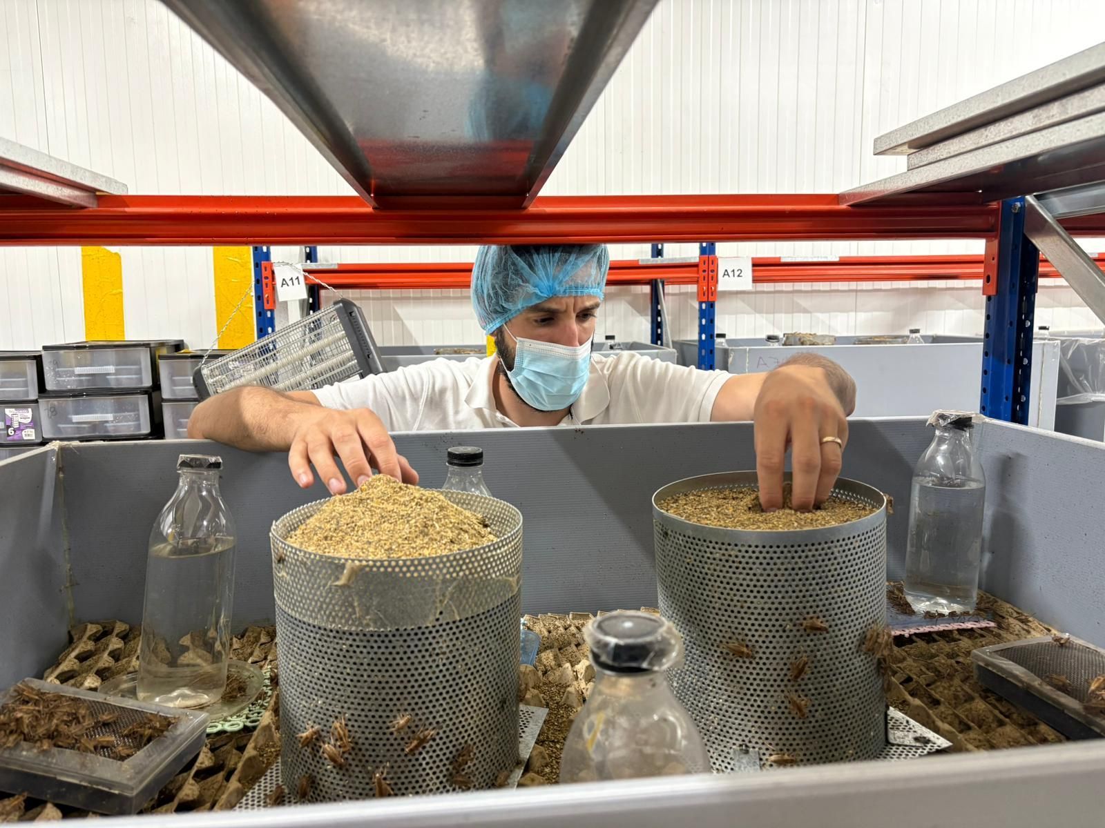 Imagen de la granja de cría de grillos de Grillco, en Sant Miquel de Balenyà