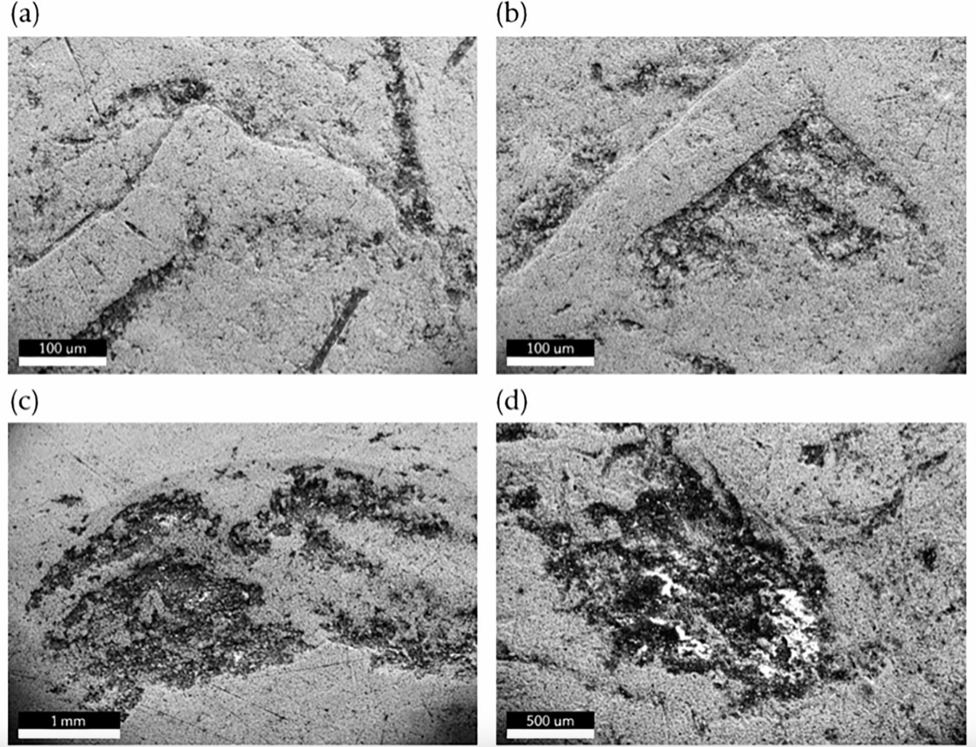 Las imágenes representativas de microscopía electrónica de barrido muestran una morfología heterogénea de la superficie dañada