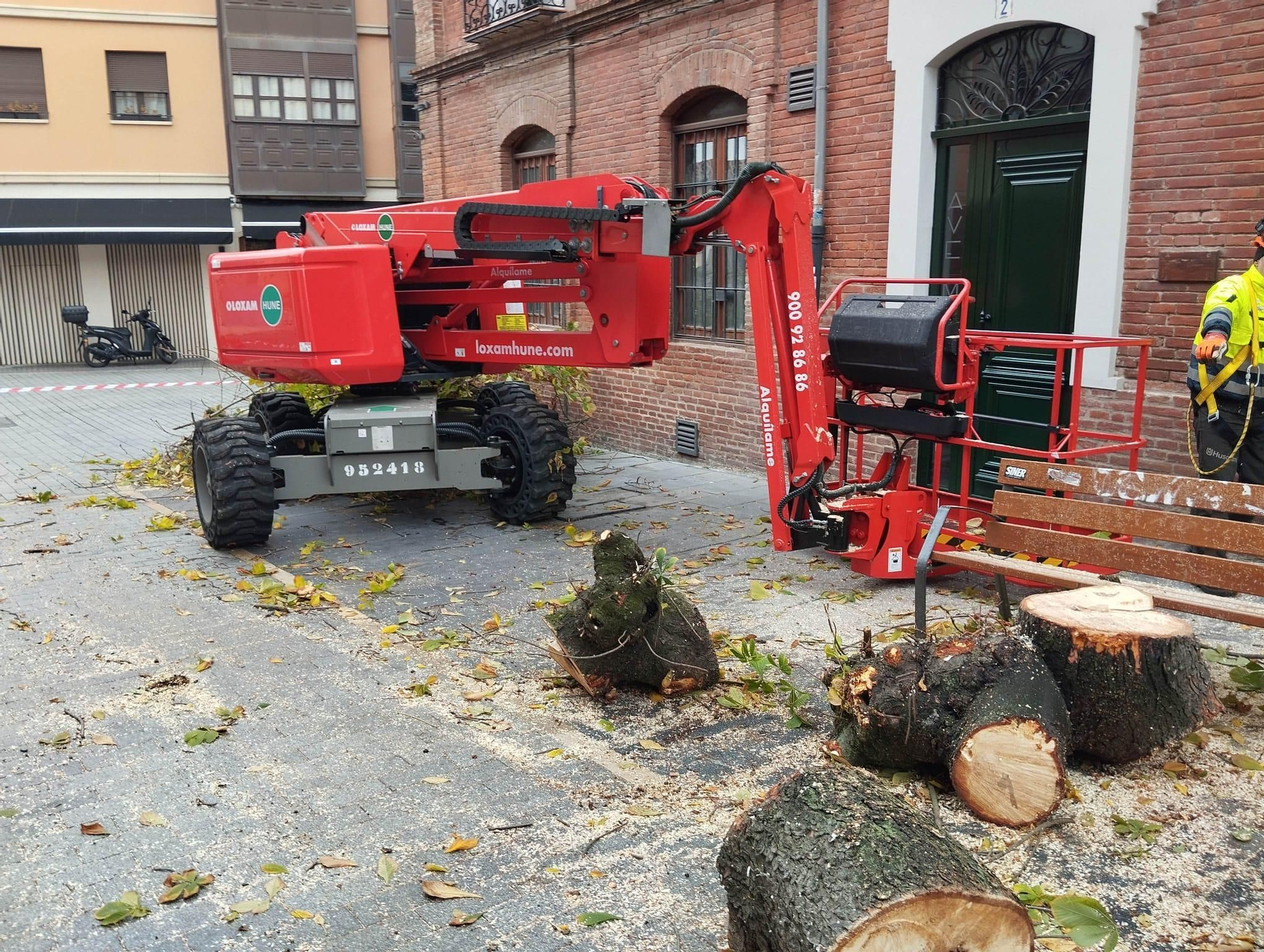 Pedazos del castaño talado en la calle Ave María, en el entorno de la Catedral de León, con indignación vecinal.