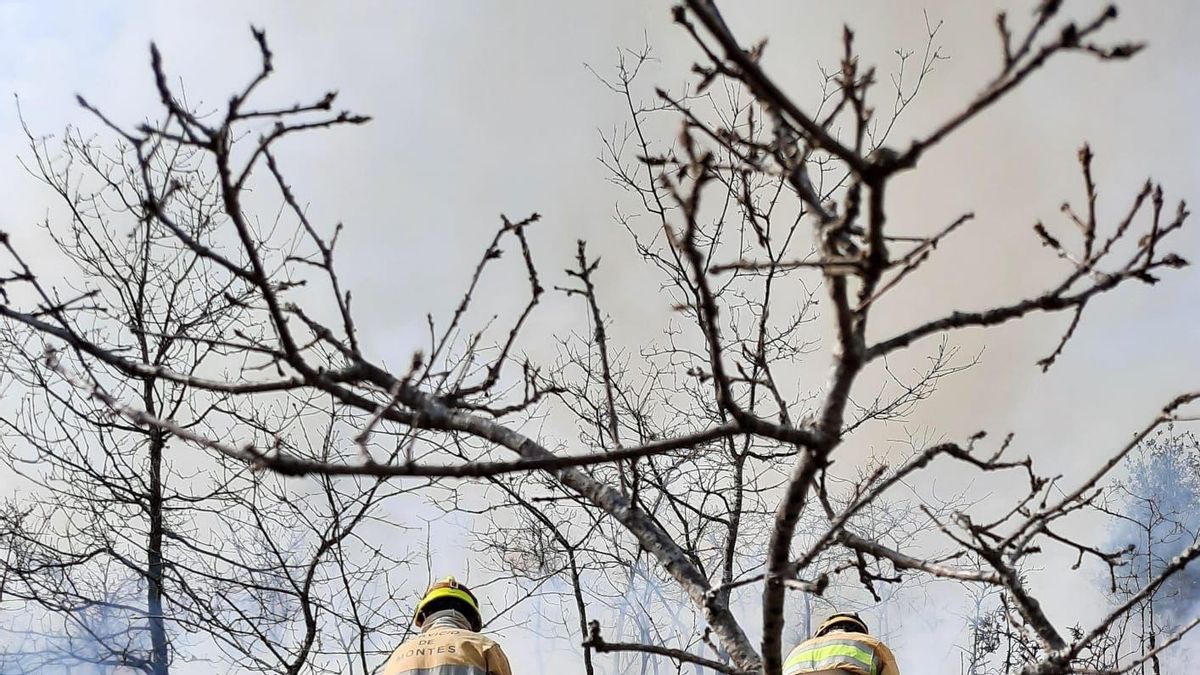 Diez incendios forestales en 24 horas obligan a movilizar 36 cuadrillas para prevenir y extinguir fuegos