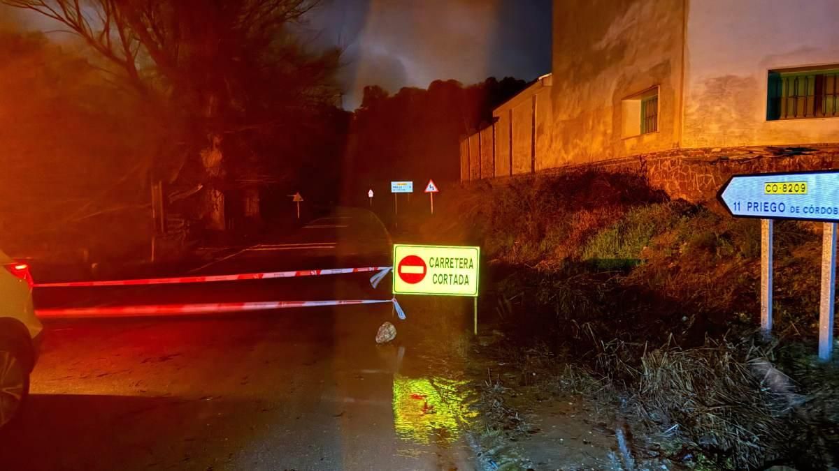 Árboles caídos y carreteras cortadas en la provincia de Córdoba