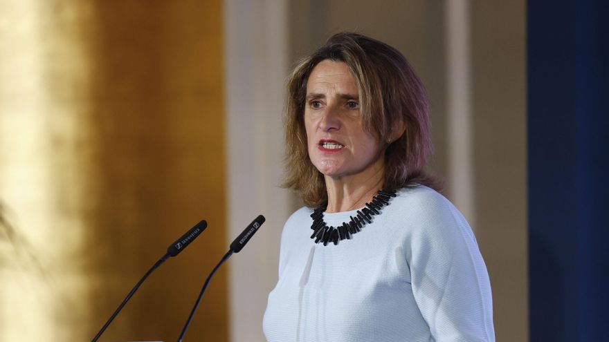 Foto de archivo de la candidata del PSOE a las elecciones europeas, Teresa Ribera. EFE/ Chema Moya