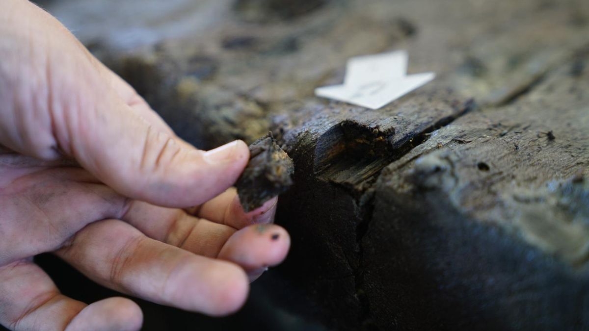 Toma de muestra identificación de especies.