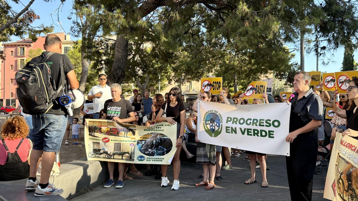 Un centenar de persones surt als carrers de Palma per protestar contra l'explotació de cavalls de les galeres