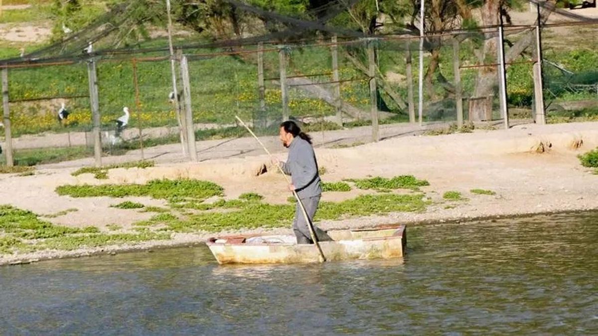 Salvemos La Cañada de los Pájaros