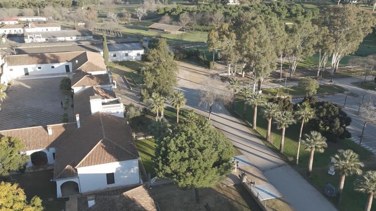 Sevilla Activa licita el proyecto y la construcción de un pabellón informativo y expositivo para Barrio de Quarto