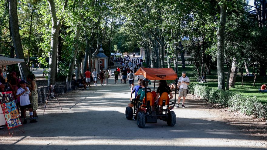 De París a Lisboa: por qué las ciudades europeas necesitan árboles, pero luego no es tan sencillo plantarlos