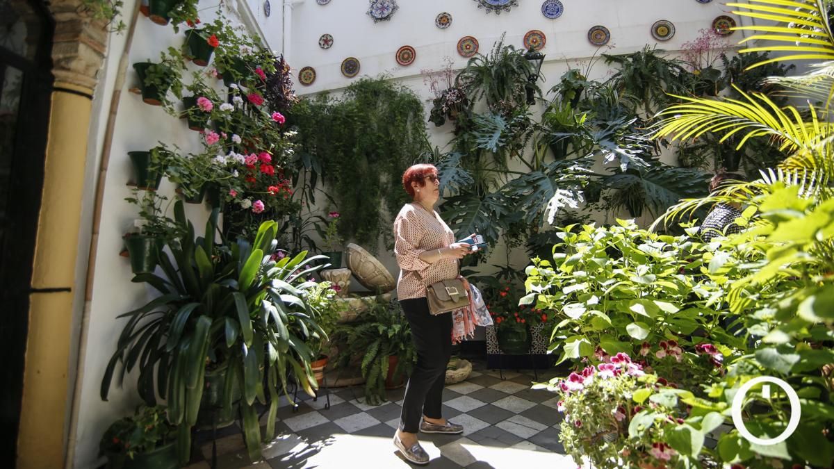 Patios de Córdoba. Ruta Judería - San Francisco