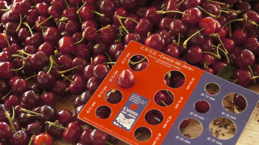 China se abre a importar por primera vez cereza española y ampliará los productos porcinos autorizados