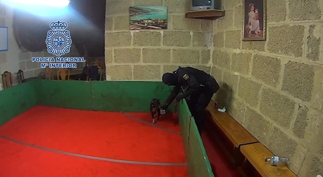 Ring descubierto durante la operación