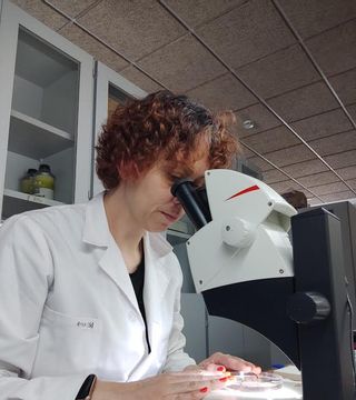 Una investigadora de la Universidad de Oviedo durante el trabajo.