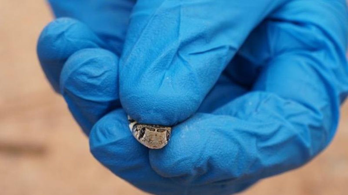 Un técnico del Cofib muestra un pequeño ejemplar de culebra de herradura.