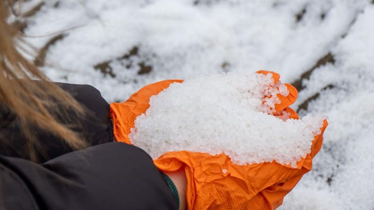 Una voluntaria ayuda a limpiar una playa de la costa de Noia