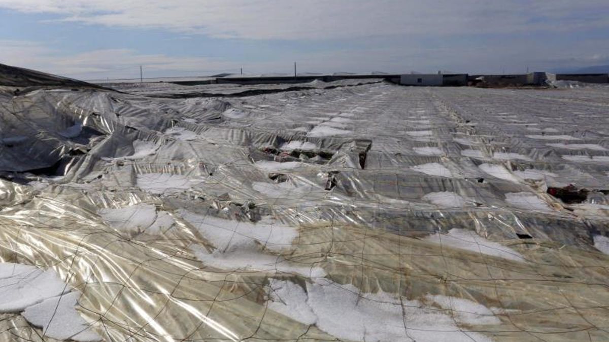 Vista de un invernadero afectado por una fuerte tormenta de granizo en Almería.