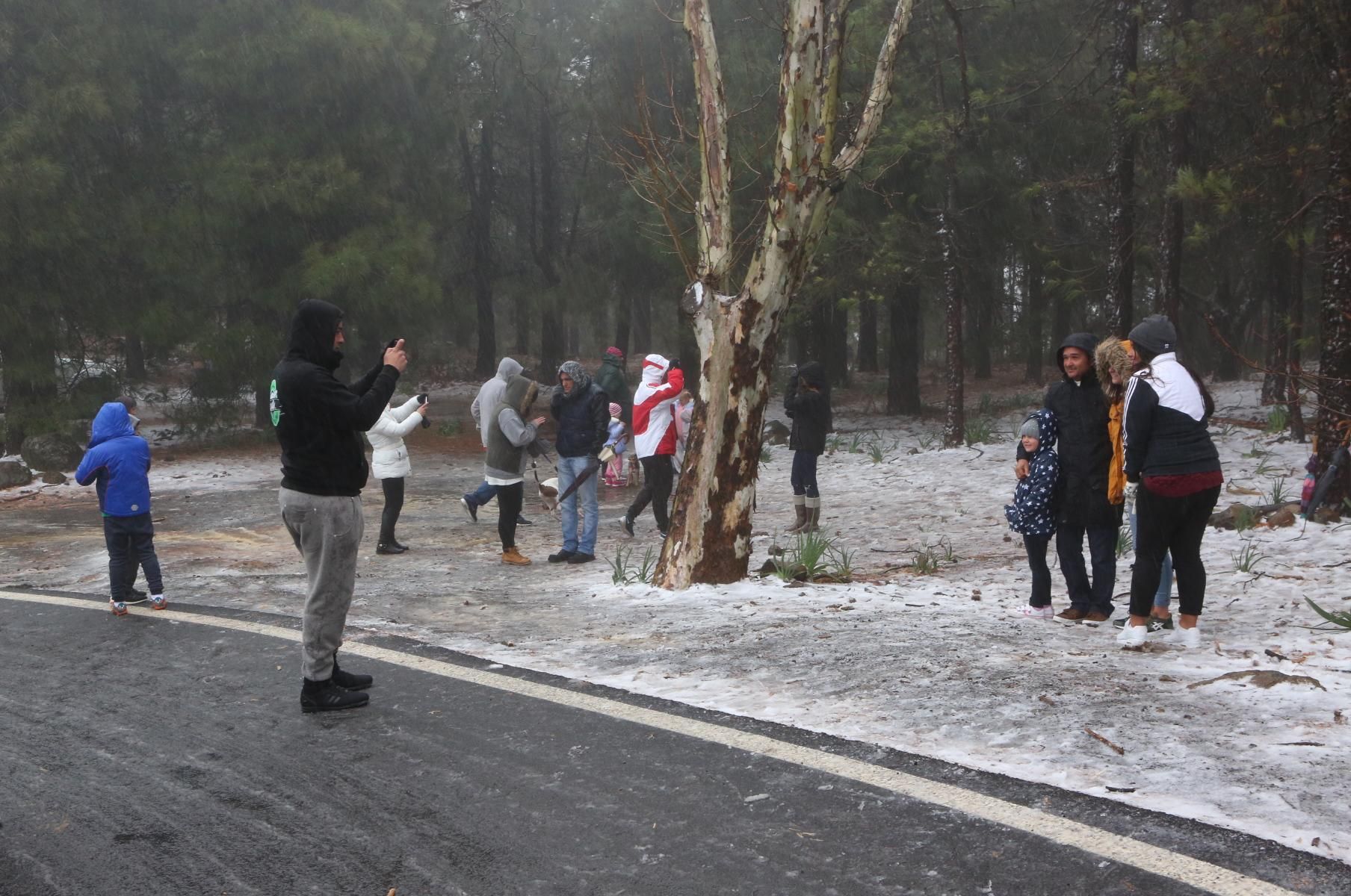 Un grupo de personas se acerca a apreciar la nieve que ha caído en la cumbre de Gran Canaria.