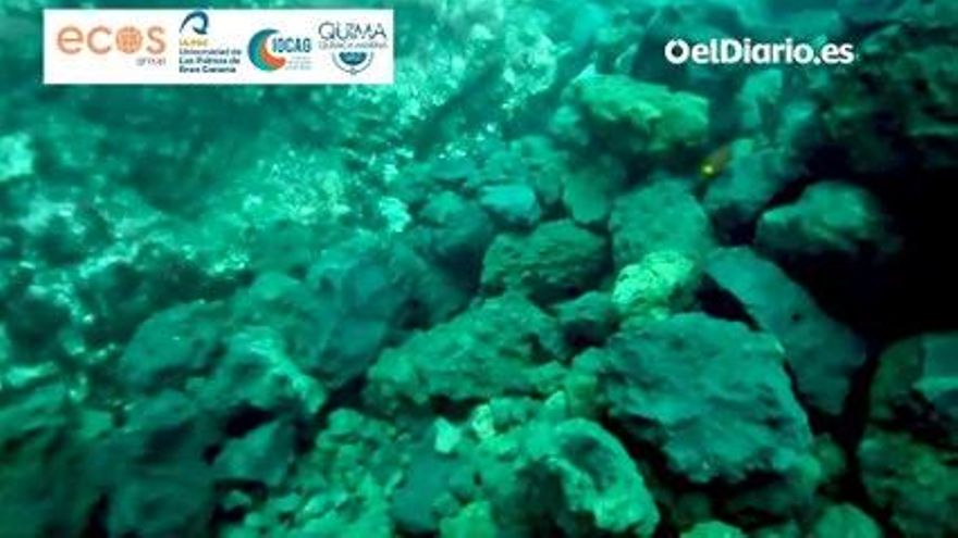 VÍDEO | Estas son las primeras imágenes submarinas del delta de lava del volcán de La Palma