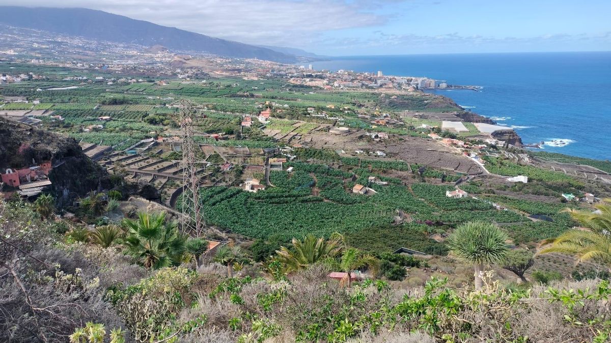 35 años del intento de apropiación de ATI-CC de la lucha ciudadana para salvar El Rincón, la excepción al desarrollismo en La Orotava