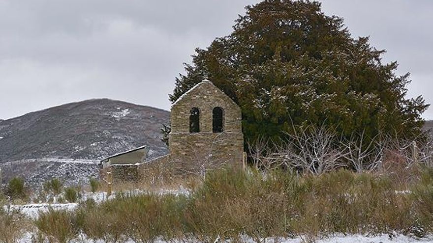 El milenario tejo de San Cristóbal de Valdueza. IMagen de archivo de infobierzo.com
