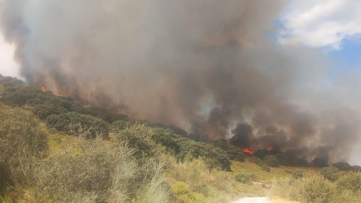 Declarado un incendio forestal en Luque