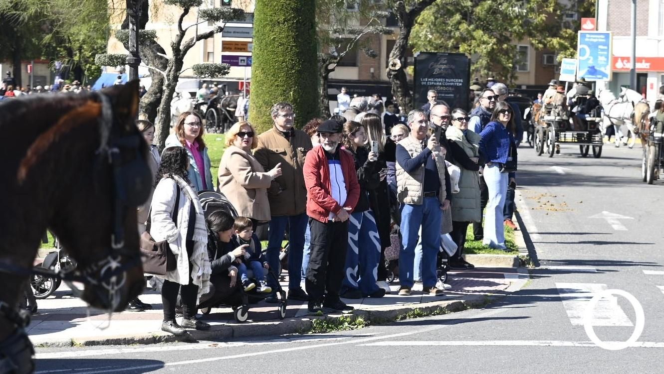 Marcha hípica por el día de Andalucía