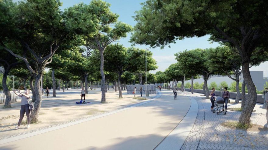 Salón de pinos sobre el antiguo Calderón