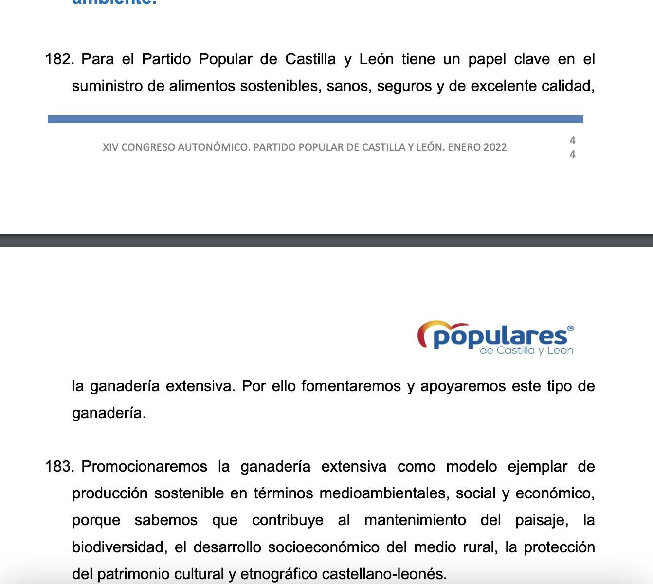Documento aprobado por el PP de Castilla y León