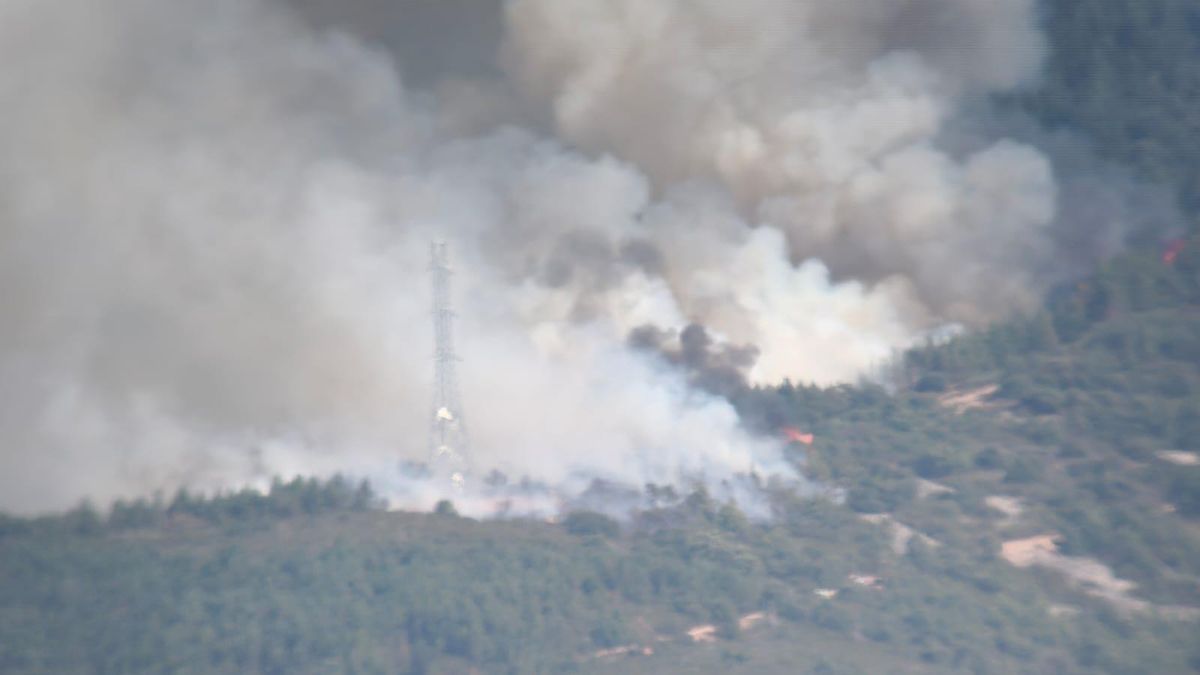 Dos incendios en la provincia de León, en Castropodame y La Baña, obligan a un amplio despliegue de medios