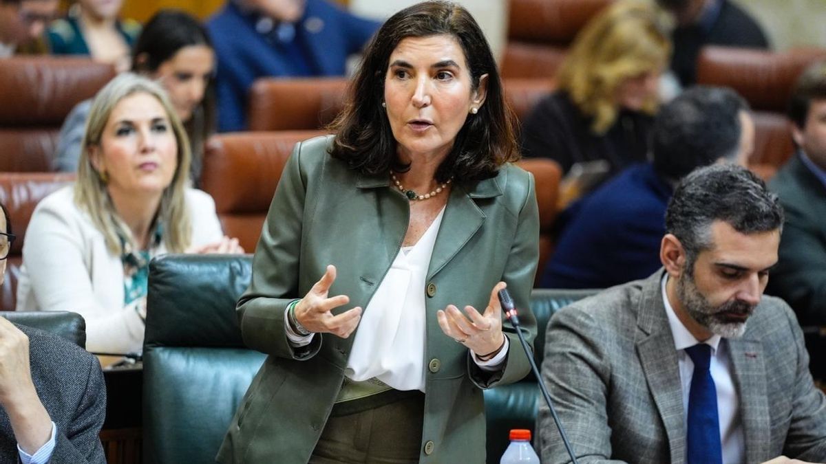 El Gobierno vasco recibirá a los trabajadores de la división andaluza de Ayesa para dar "tranquilidad"