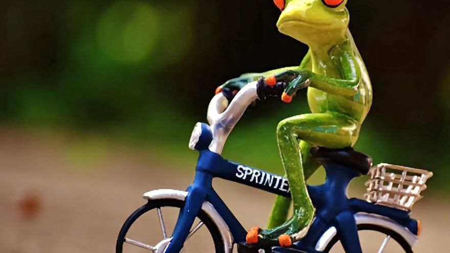 Las bicicletas (azules) son para...