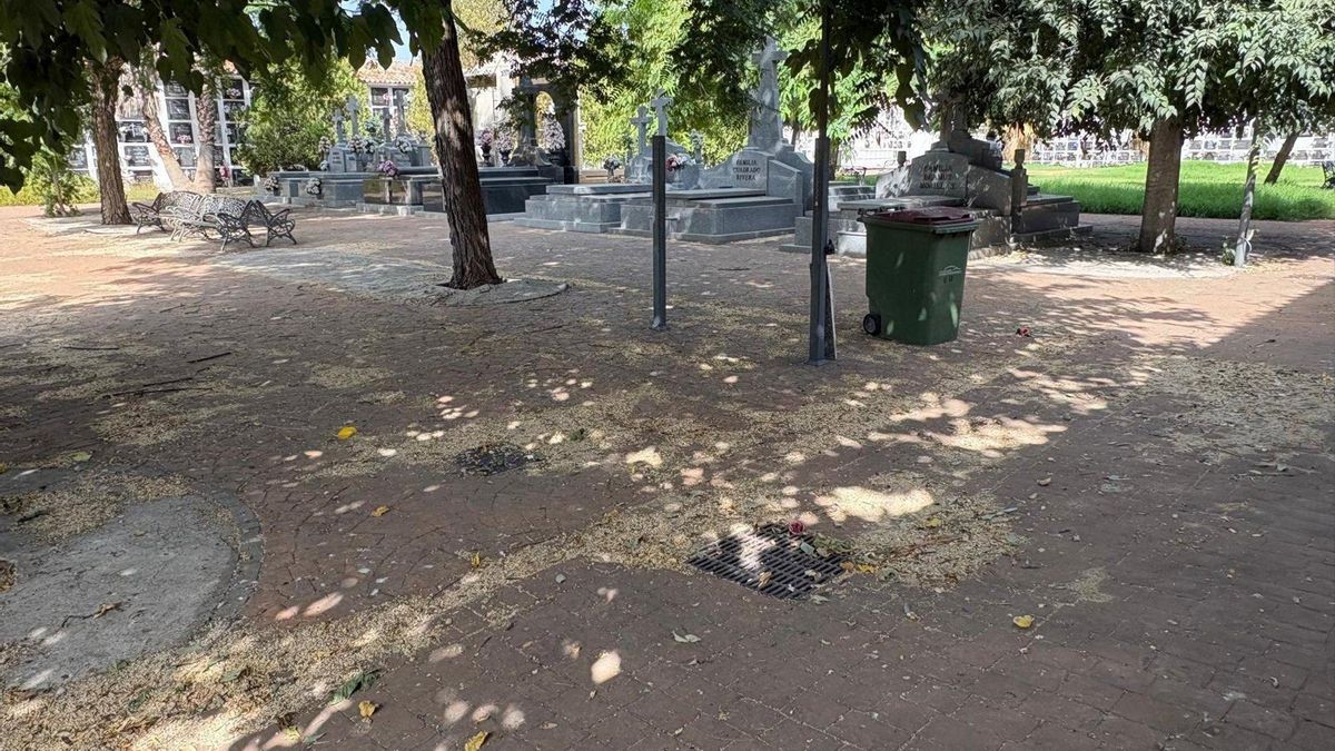 Facua critica "el agravamiento del abandono" del Cementerio de San Rafael