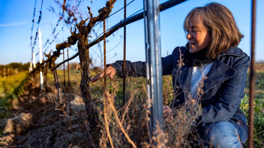 Un estudio concluye que persiste la segregación laboral horizontal y vertical en la industria agroalimentaria