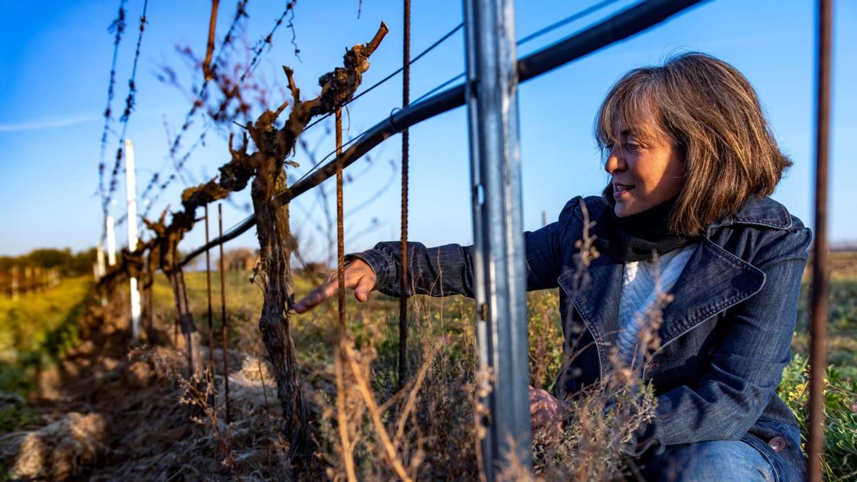 Un estudio concluye que persiste la segregación laboral horizontal y vertical en la industria agroalimentaria