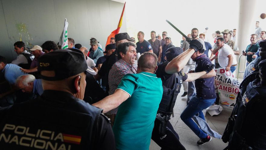 La Justicia paraliza la decisión de PP y Vox de relajar los controles a la tuberculosis bovina en Castilla y León