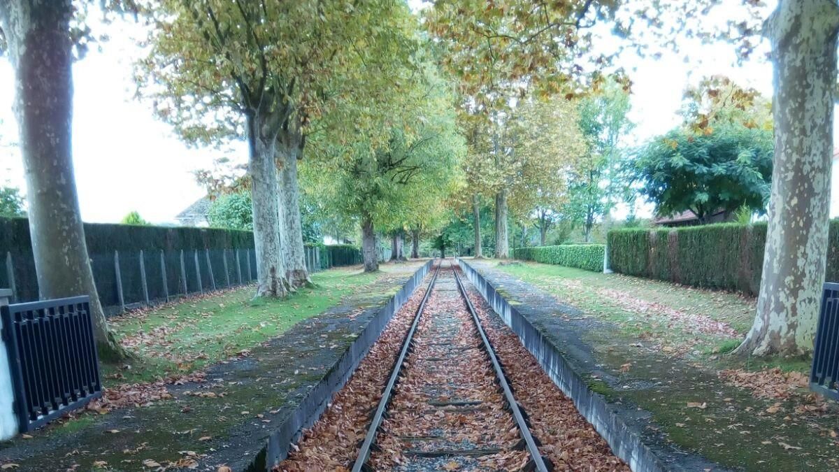 Proyecto de memoria histórica en el campo de Gurs