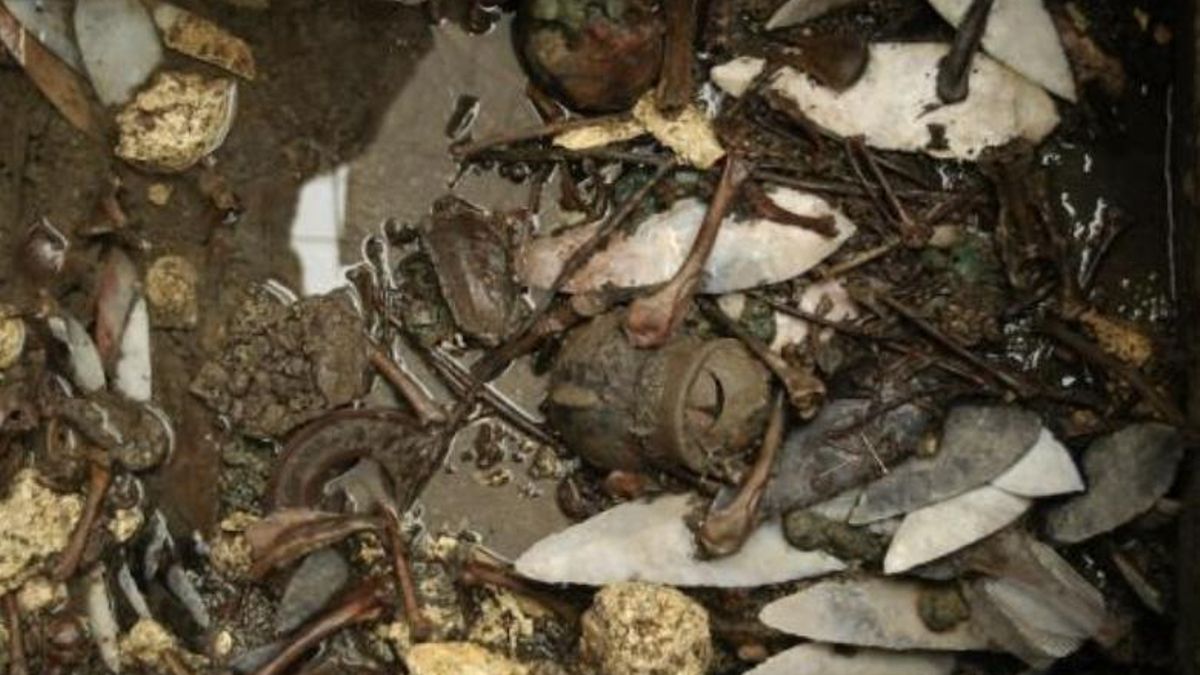 El zoológico fue destruido tras la llegada de los conquistadores