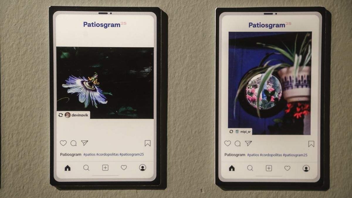 Inauguración de la exposición de Patiosgram25 en la Fundación Cajasol