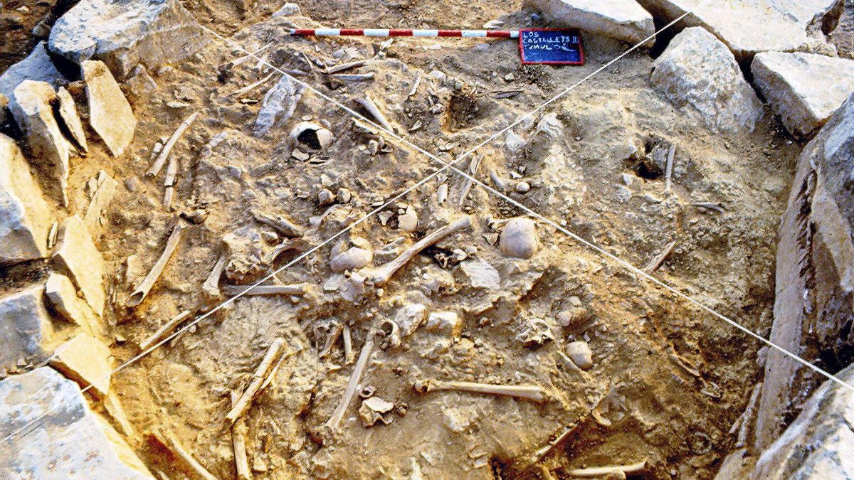 Uno de los túmulos del yacimiento en Mequinenza.