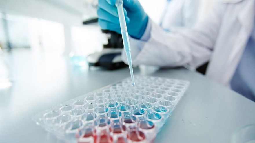 Archivo - Investigación.