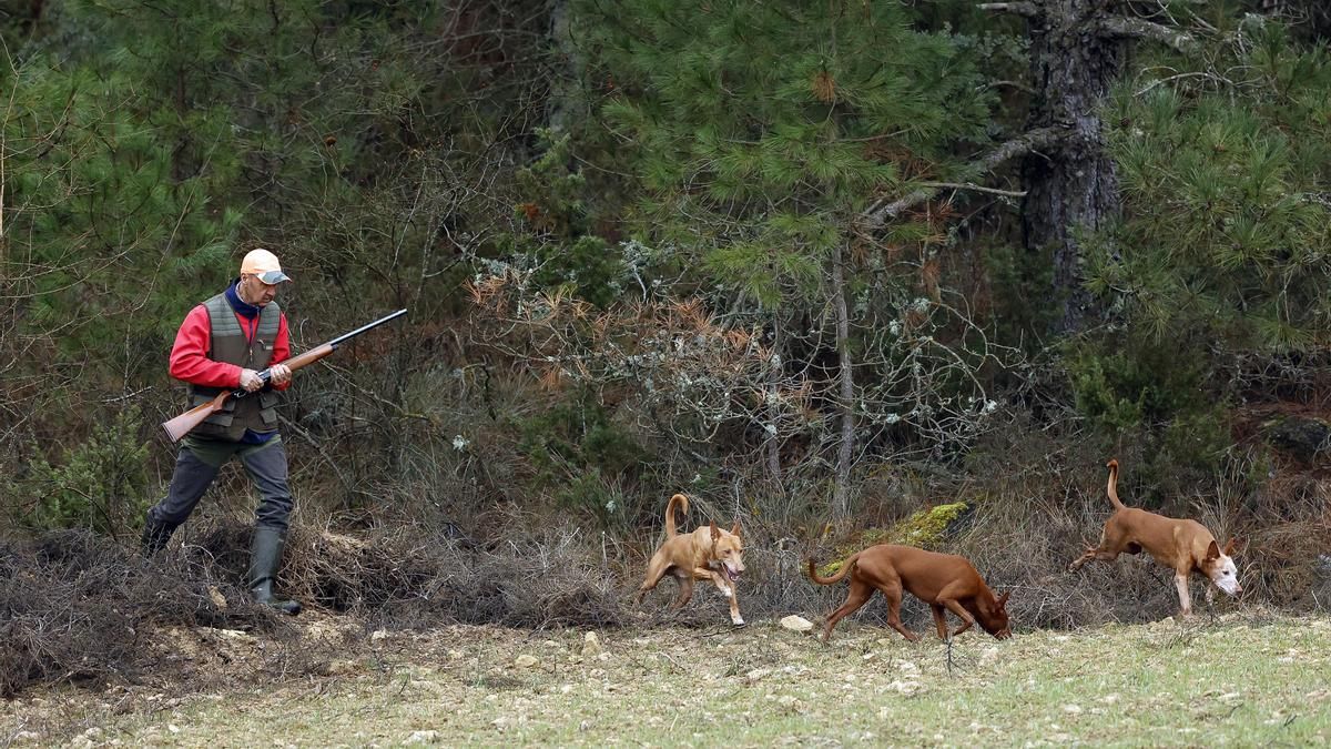 Un cazador con sus perros.