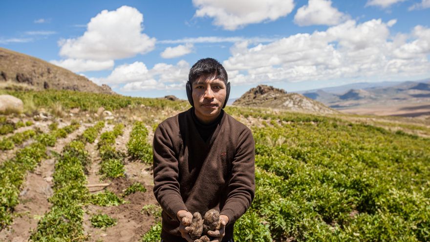 Leonel, el joven boliviano que lucha por preservar hasta 40 variedades de papas nativas