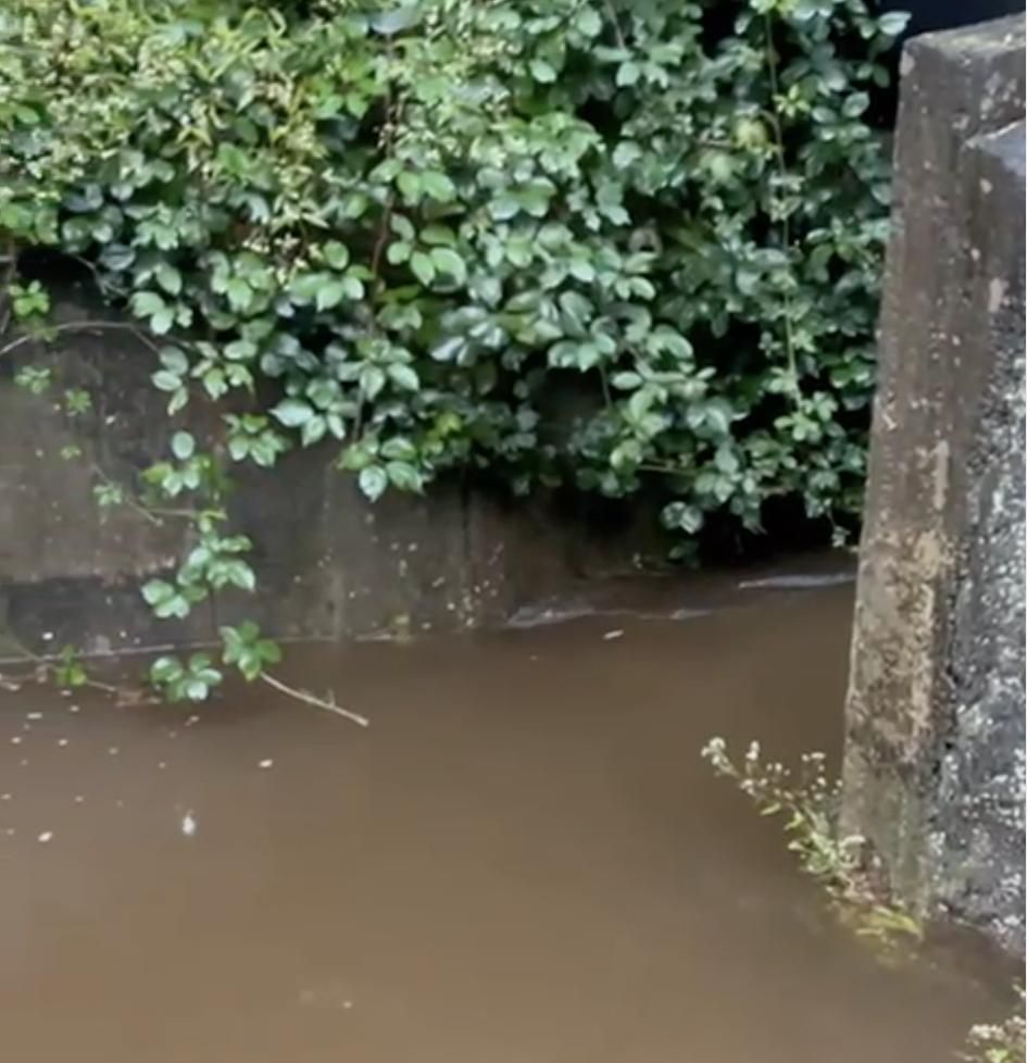 Aguna de lluvia entrando  en La Laguna de Barlovento este viernes por uno de sus dos tomaderos.