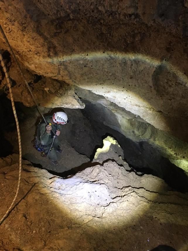 Aparecen en una sima a más de 30 metros los restos de la osa y dos crías atacadas por un macho en la Montaña Palentina. // JCyL
