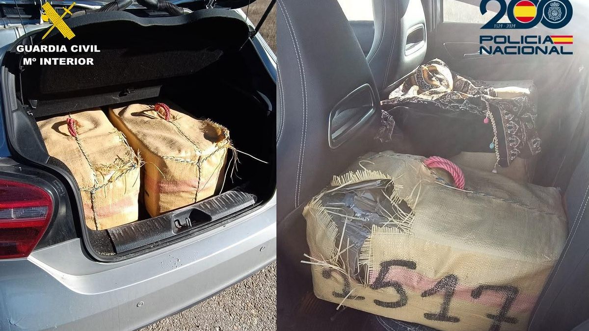 Desarticulada una red dedicada al tráfico de cocaína y hachís en el norte de España